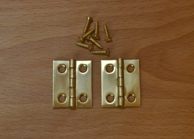 1'' Polished Solid Brass Hinges (pair)